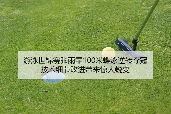 you-yong-shi-jin-sai-zhang-yu-fei-mi-die-yong-ni-zhuan-duo-guan-ji-shu-xi-jie-gai-jin-dai-lai-jing-ren-tui-bian-2-799.jpg
